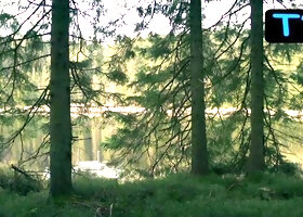 Brigitte Hobmeier Breasts,  Underwear Scene  in Woodland